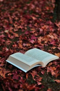 An open book lying on a bed of vibrant autumn leaves, creating a cozy fall setting.