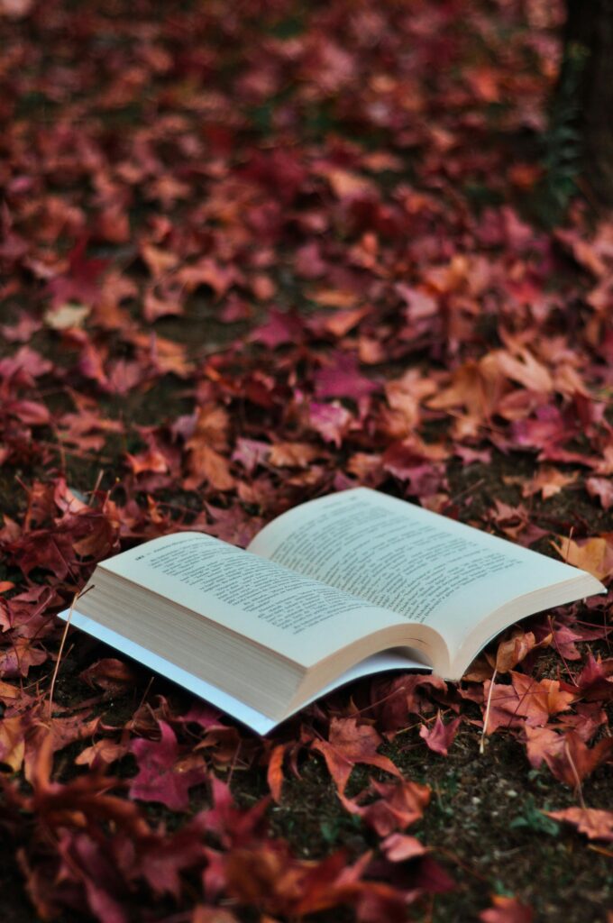 An open book lying on a bed of vibrant autumn leaves, creating a cozy fall setting.